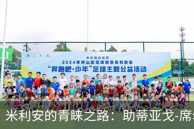 米利安的青睐之路：助蒂亚戈-席尔瓦争夺解放者杯